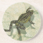 Toad Swinning in the Water Coaster<br><div class="desc">Vision Studio is using the giclée (French for “to spray”) technique in this art piece. It makes it unique and the different shades of green emphasise the peacefulness on this image. Choose this piece of artwork for your next Zazzle product.</div>