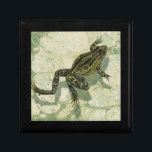 Toad Swinning in the Water Gift Box<br><div class="desc">Vision Studio is using the giclée (French for “to spray”) technique in this art piece. It makes it unique and the different shades of green emphasise the peacefulness on this image. Choose this piece of artwork for your next Zazzle product.</div>