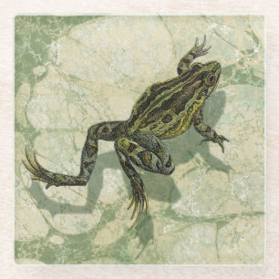 Toad Swinning in the Water Glass Coaster