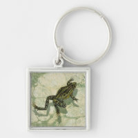 Toad Swinning in the Water