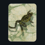 Toad Swinning in the Water Magnet<br><div class="desc">Vision Studio is using the giclée (French for “to spray”) technique in this art piece. It makes it unique and the different shades of green emphasise the peacefulness on this image. Choose this piece of artwork for your next Zazzle product.</div>