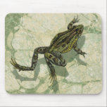 Toad Swinning in the Water Mouse Mat<br><div class="desc">Vision Studio is using the giclée (French for “to spray”) technique in this art piece. It makes it unique and the different shades of green emphasise the peacefulness on this image. Choose this piece of artwork for your next Zazzle product.</div>