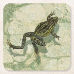 Toad Swinning in the Water Square Paper Coaster<br><div class="desc">Vision Studio is using the giclée (French for “to spray”) technique in this art piece. It makes it unique and the different shades of green emphasise the peacefulness on this image. Choose this piece of artwork for your next Zazzle product.</div>