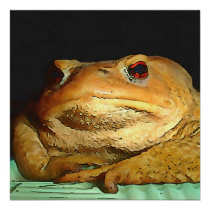 Toad With Philosophical Disposition Painting Poster