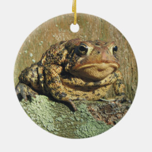 Toadly Awesome Toad Christmas Ornament