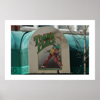 Toads Place Poster