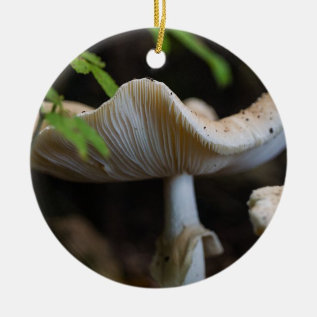 Toadstool Umbrella Ceramic Tree Decoration (Front)
