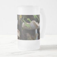 Toadstool Umbrella Frosted Glass Beer Mug