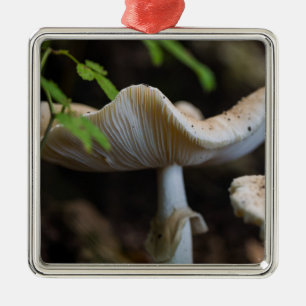 Toadstool Umbrella Metal Tree Decoration
