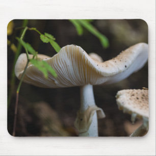 Toadstool Umbrella Mouse Mat