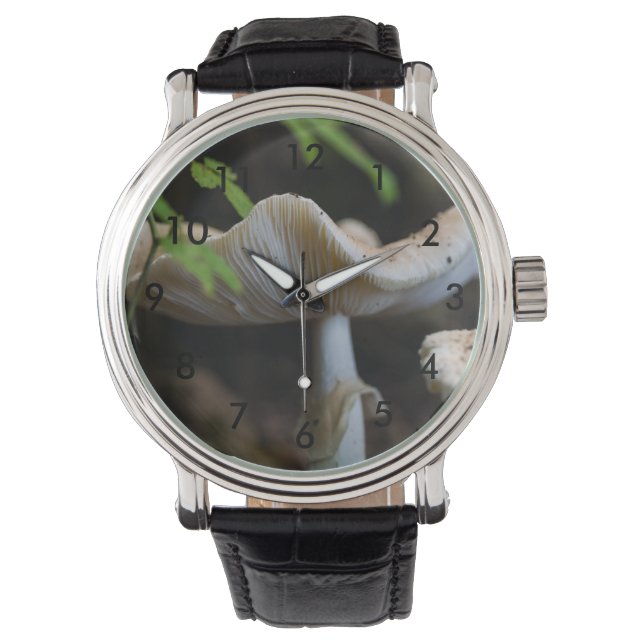 Toadstool Umbrella Watch (Front)