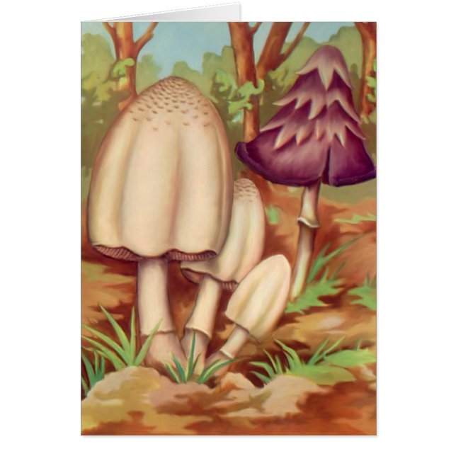 Toadstools 1 (Front)