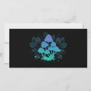 Toadstools in Bushes Announcement