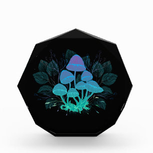 Toadstools in Bushes Photo Block