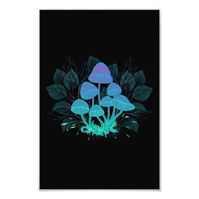 Toadstools in Bushes Photo Print (Front)