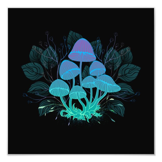 Toadstools in Bushes Photo Print (Front)