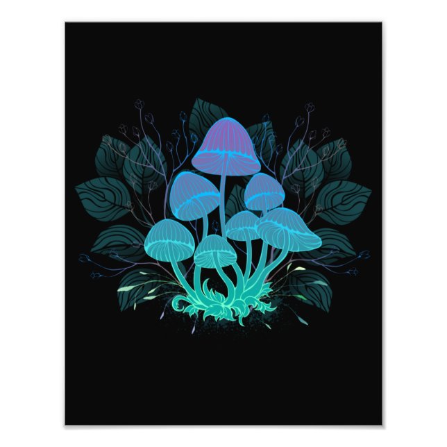 Toadstools in Bushes Photo Print (Front)