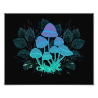 Toadstools in Bushes