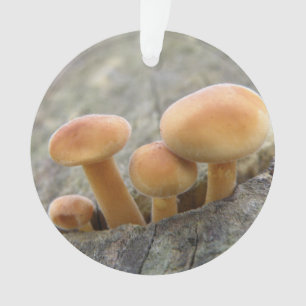 Toadstools on a Tree Trunk Acrylic Ornament