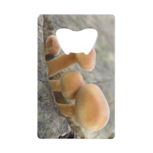 Toadstools on a Tree Trunk Bottle Opener