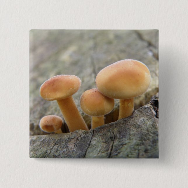 Toadstools on a Tree Trunk Button (Front)