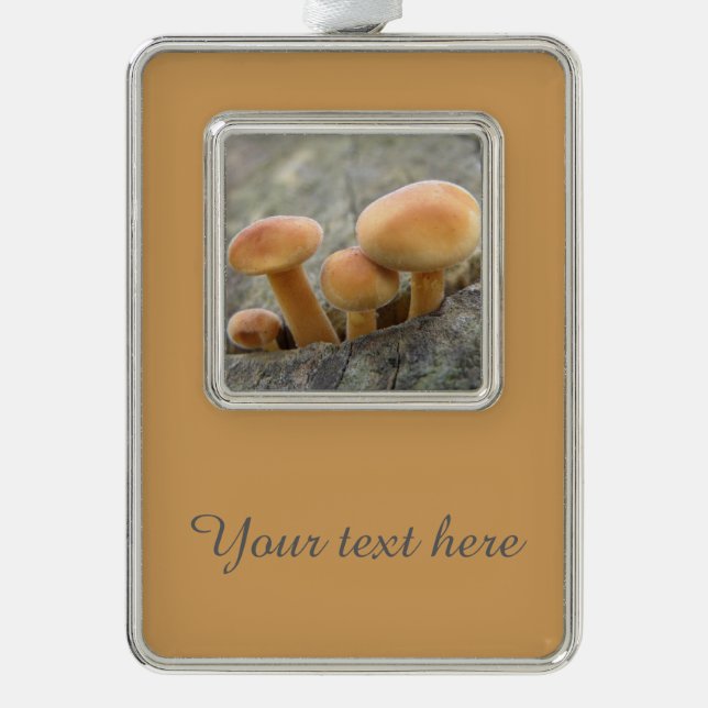 Toadstools on a Tree Trunk Custom Ornament (Front)