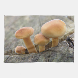Toadstools on a Tree Trunk Kitchen Towel