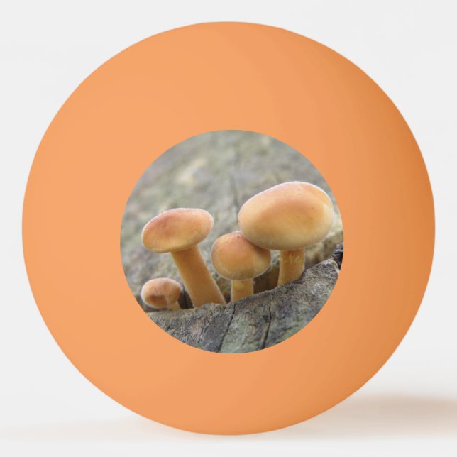 Toadstools on a Tree Trunk Ping Pong Ball (Back)