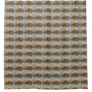Toadstools on a Tree Trunk Shower Curtain