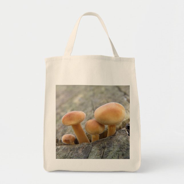 Toadstools on a Tree Trunk Tote Bag (Front)