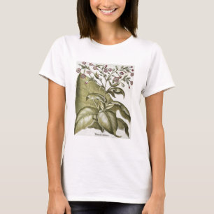 Tobacco plant, from the 'Hortus Eystettensis' by B T-Shirt
