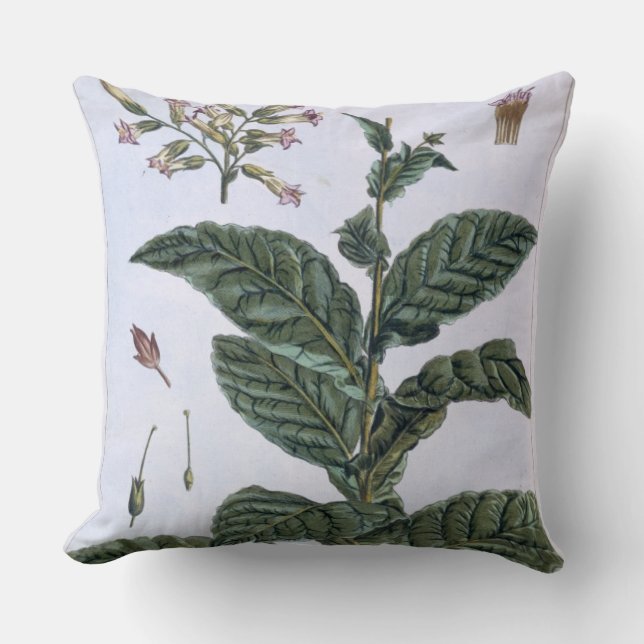 Tobacco plant, plate 7, from 'Collection Precieuse Cushion (Front)