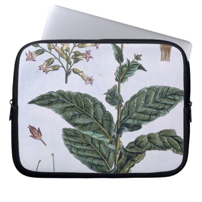 Tobacco plant, plate 7, from 'Collection Precieuse Laptop Sleeve (Front)