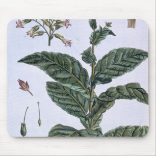 Tobacco plant, plate 7, from 'Collection Precieuse Mouse Mat