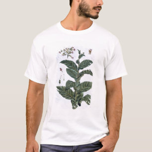 Tobacco plant, plate 7, from 'Collection Precieuse T-Shirt