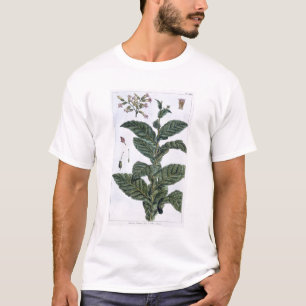 Tobacco plant, plate 7, from 'Collection Precieuse T-Shirt