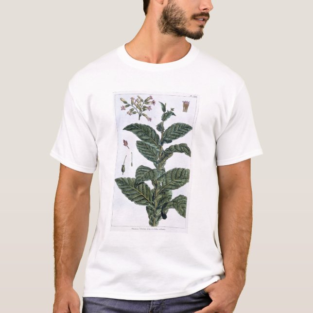 Tobacco plant, plate 7, from 'Collection Precieuse T-Shirt (Front)