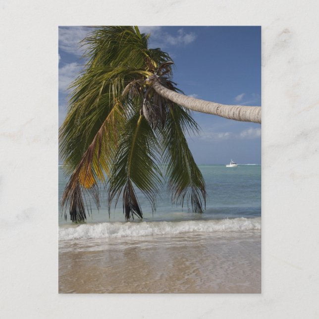 Tobago_-1926 Postcard (Front)