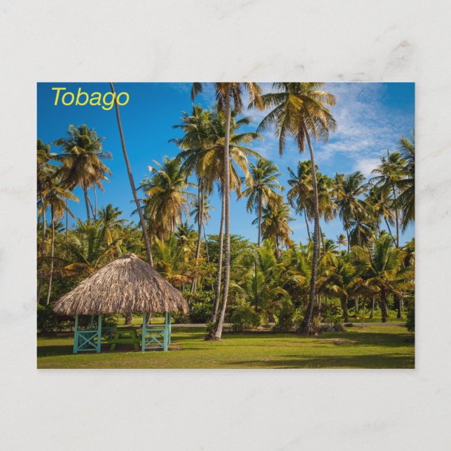 Tobago Postcard (Front)