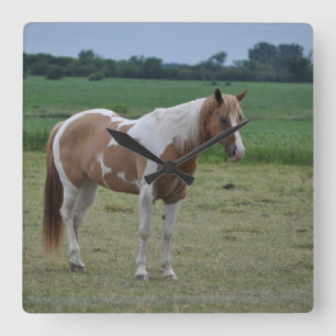 Tobiano Paint Horse Square Wall Clock