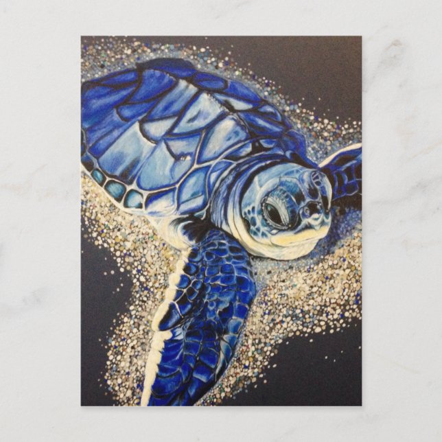 Tobin the baby sea turtle postcard (Front)