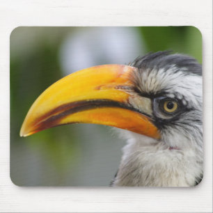 Tockus leucomelas mouse mat