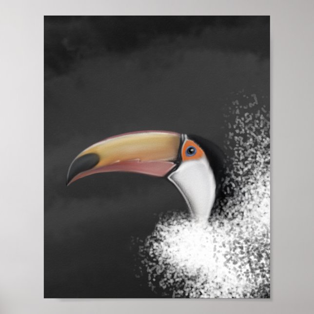 toco toco toucan (original hand draw) poster (Front)