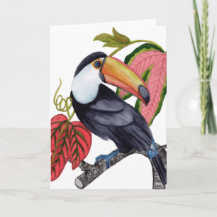 Toco Toucan Card
