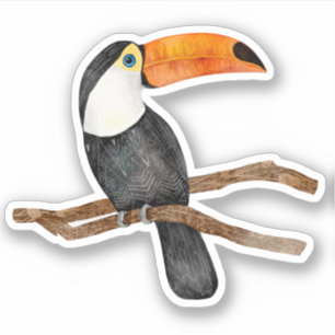 Toco Toucan Custom-Cut Vinyl Sticker