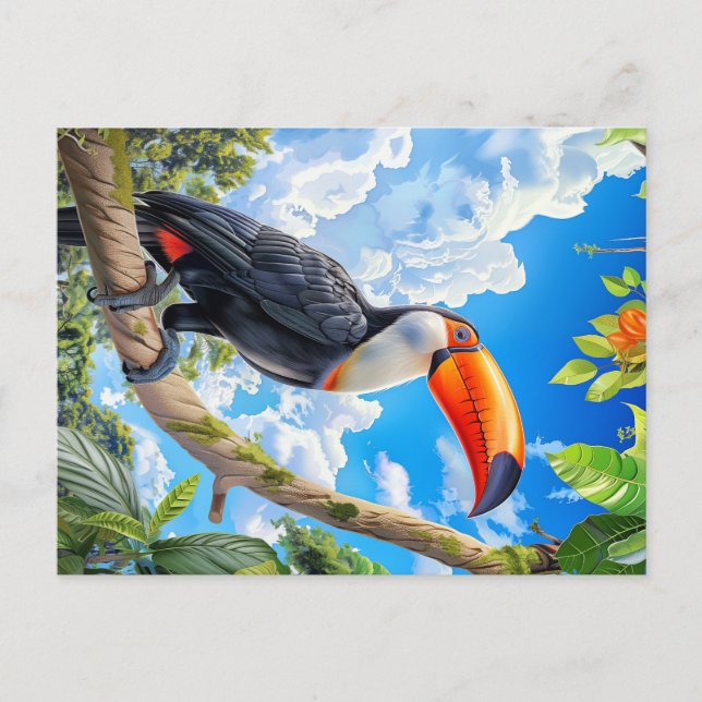 Toco toucan postcard (Front)