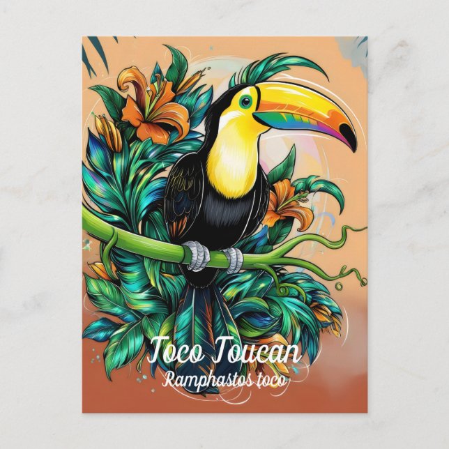 Toco Toucan  Postcard (Front)
