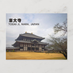 Todai-ji 東大寺 Nara, Japan Travel Postcard