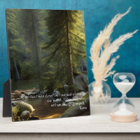 Today I Am Wise Quote Nature Landscape Tabletop