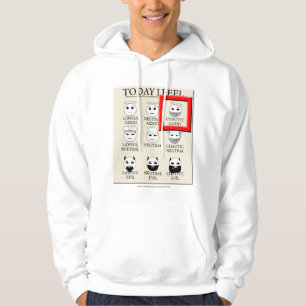Today I Feel Chaotic Good Hoodie